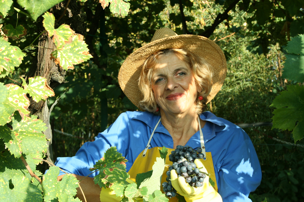 Irene durante la vendemmia